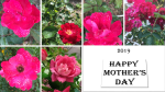 mother’s day2019